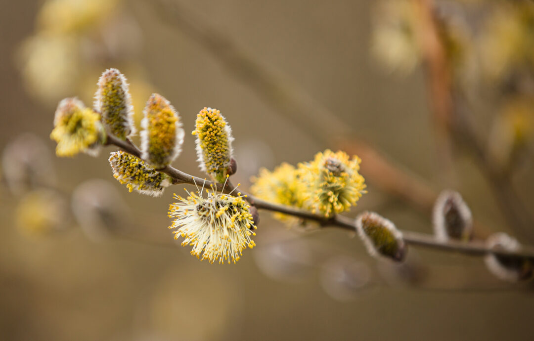 Bo przecież miało być zupełnie inaczej…