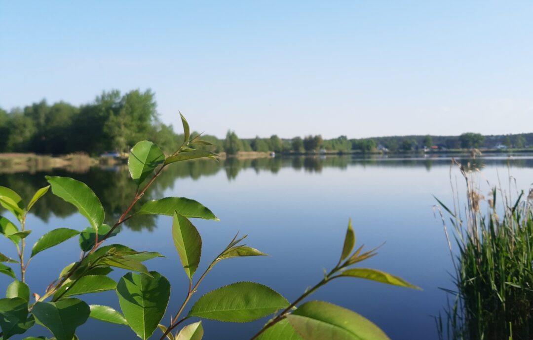 Zerwałam się na równe nogi…