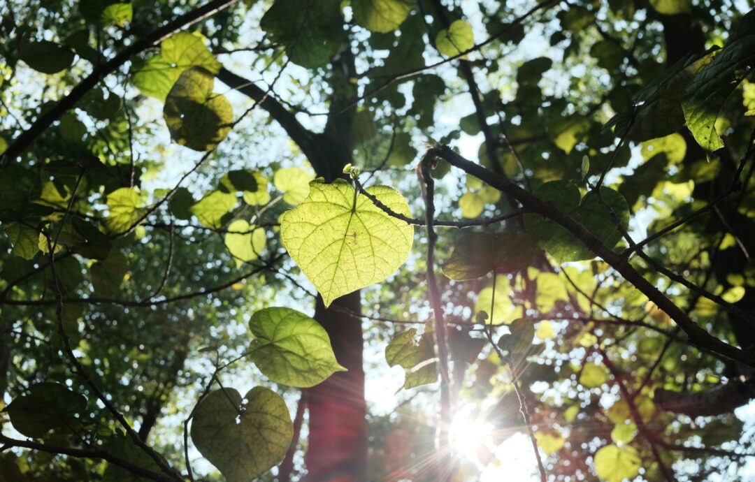 Stałam przy oknie…