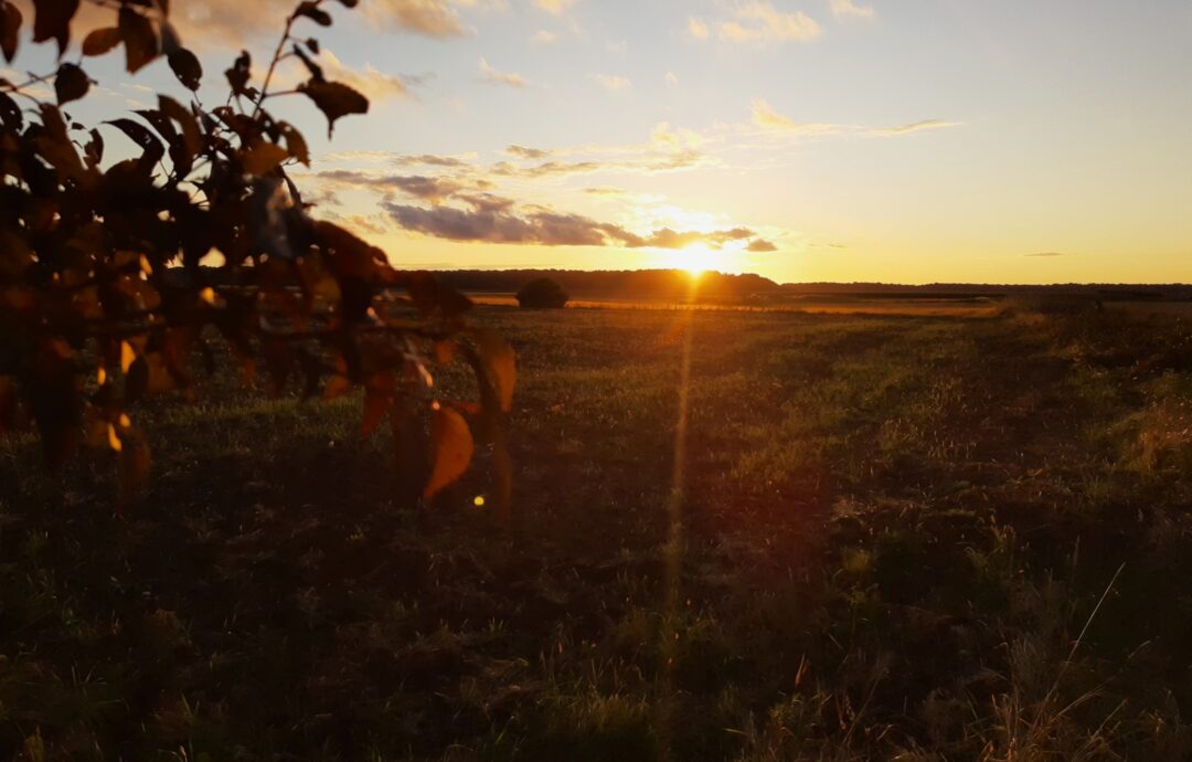 O słuchaniu dzieci bez dorosłych filtrów