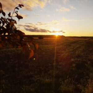 O słuchaniu dzieci bez dorosłych filtrów