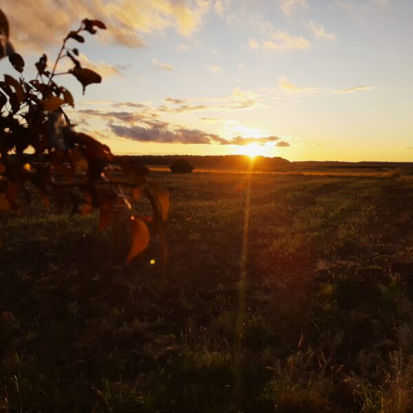 O słuchaniu dzieci bez dorosłych filtrów