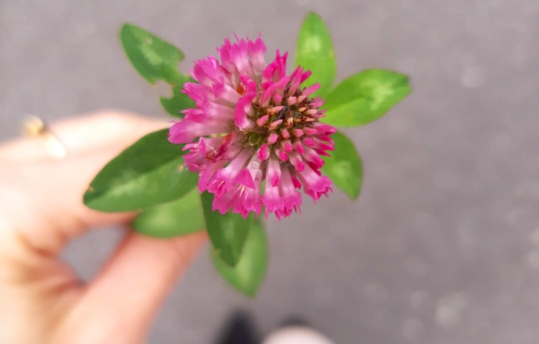 Nadchodzi taki dzień…