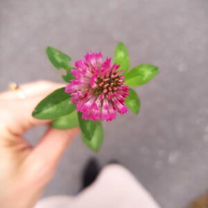 Nadchodzi taki dzień…