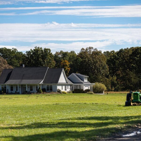 Szukam domu do wynajęcia – pilnie!